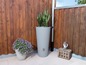 Een grijs regenton met planten naast een houten schutting.