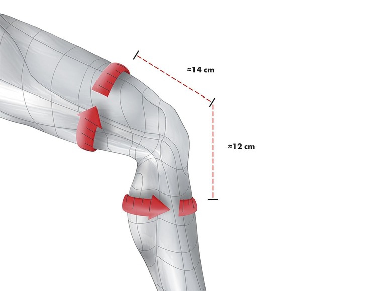 Ga naar volledige schermweergave: sensiplast® Kniebandage - afbeelding 3
