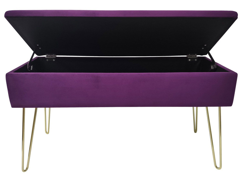 Aller en mode plein écran ECHTWERK Banc avec espace de rangement, 75 x 41,5 x 30 cm - Photo 5