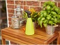 Een groene plantenspuit op een houten tafel met potplanten.