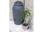 Een grijze regenton naast een plant in een pot.