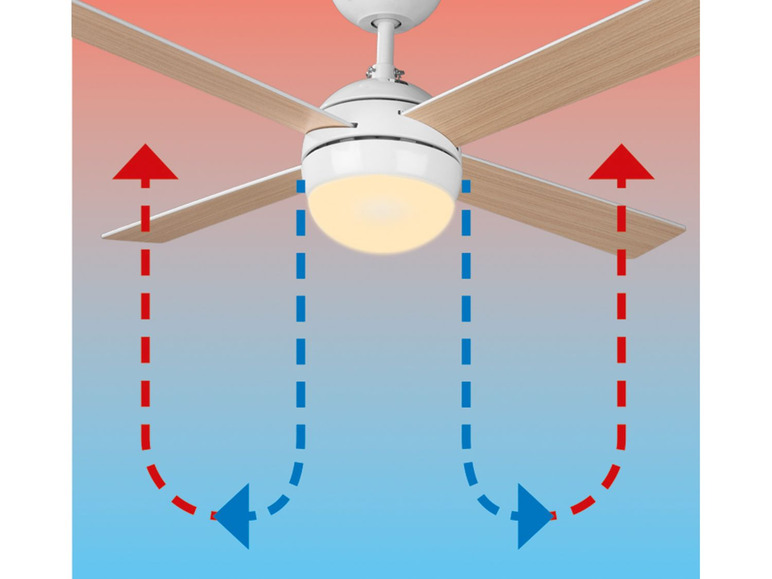 Aller en mode plein écran LIVARNO LUX Ventilateur de plafond, avec ampoule à LED - Photo 8