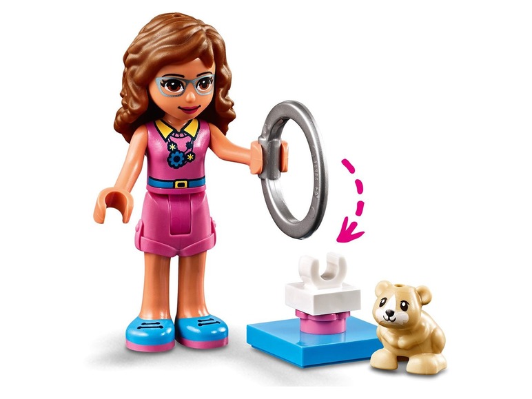 Ga naar volledige schermweergave: LEGO® Friends Olivia's hamsterspeelplaats (41383) - afbeelding 6