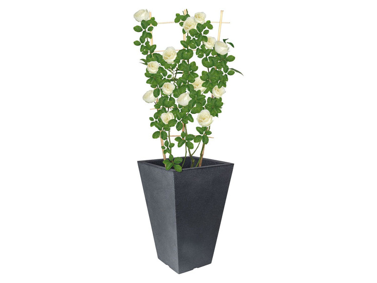 Ga naar volledige schermweergave: PARKSIDE® Hoge bloempot - afbeelding 6