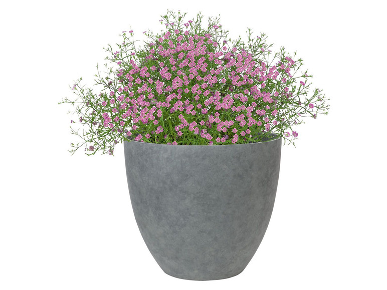 Aller en mode plein écran PARKSIDE® Pot de fleurs Ø 45 cm - Photo 5