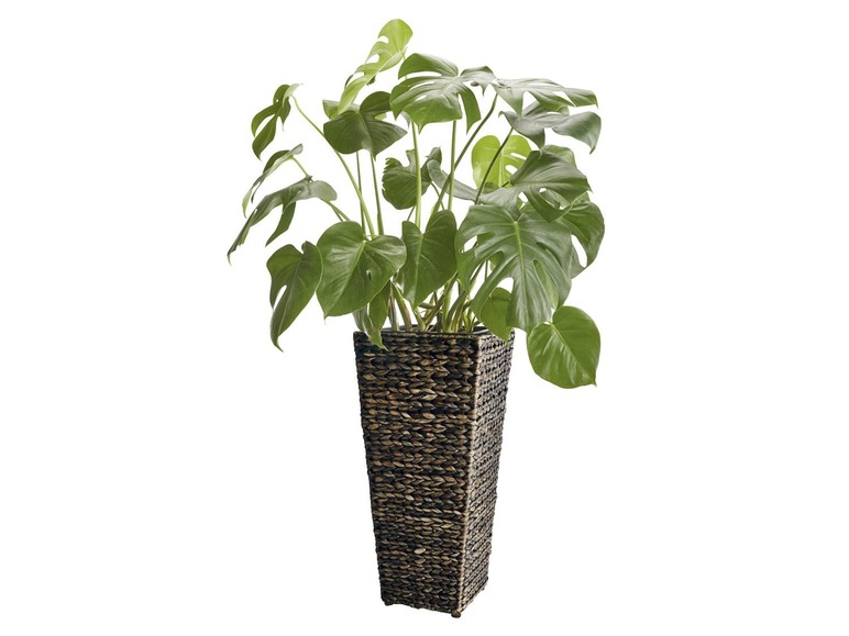 Ga naar volledige schermweergave: FLORABEST® Plantenbak - afbeelding 6