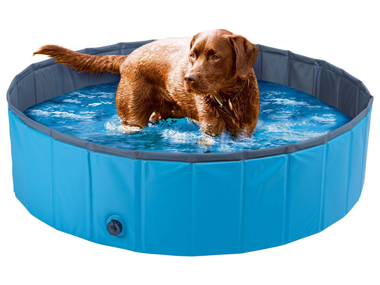 Ga naar volledige schermweergave: Zoofari Hondenzwembad, zonder oppompen, opvouwbaar - afbeelding 2