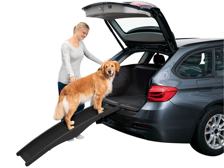 Ga naar volledige schermweergave: zoofari® Hondenloopplank, opvouwbaar, 40 kg draagvermogen - afbeelding 6