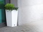 Un pot de fleurs blanc tressé avec des plantes vertes.