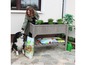 Een vrouw met een hond die een moestuinbak met planten en tuingereedschap bekijkt.