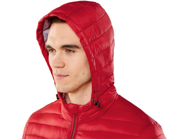 Ga naar volledige schermweergave: LIVERGY® Gewatteerde jas voor heren, polyamide en polyester - afbeelding 16