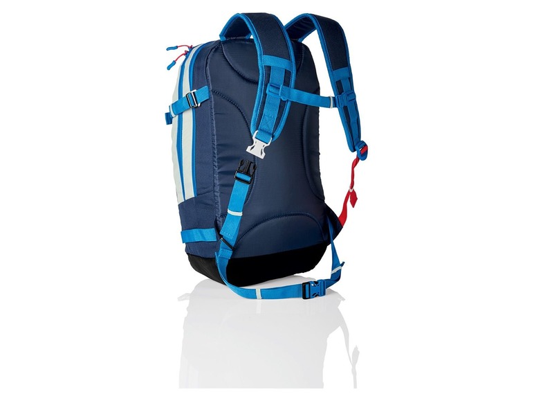 Aller en mode plein écran crivit PRO Sac de ski 23 L - Photo 4