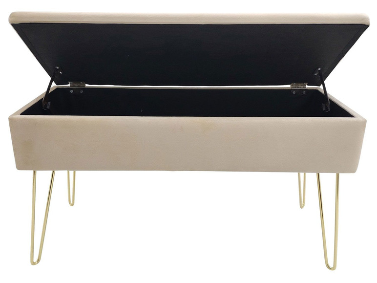 Aller en mode plein écran ECHTWERK Banc avec espace de rangement, 75 x 41,5 x 30 cm - Photo 10
