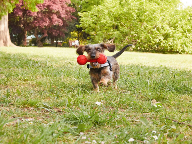 Aller en mode plein écran Nerf Dog Jouets pour chiens - Photo 3