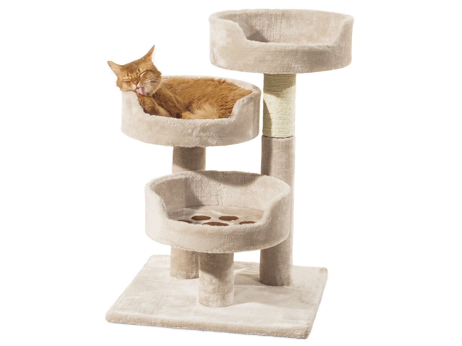 zoofari® Arbre à chats acheter en ligne sur Lidl.be