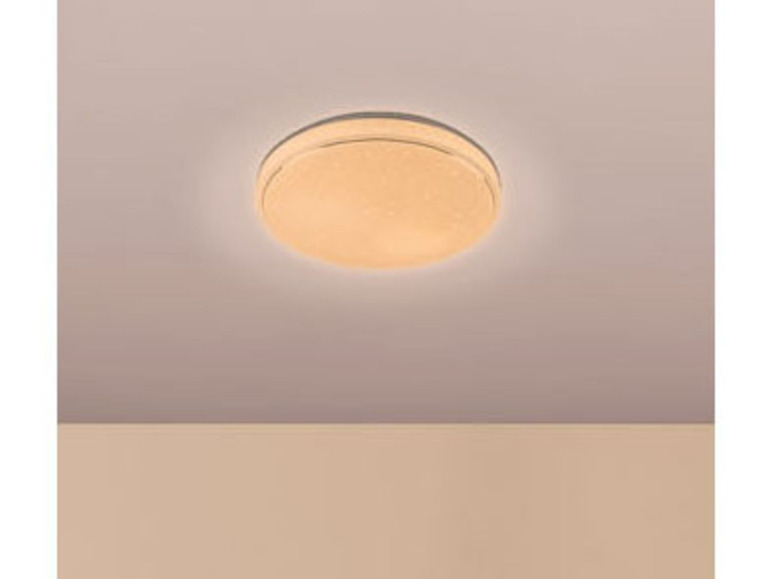 Ga naar volledige schermweergave: LIVARNO LUX Ledplafondlamp - afbeelding 12