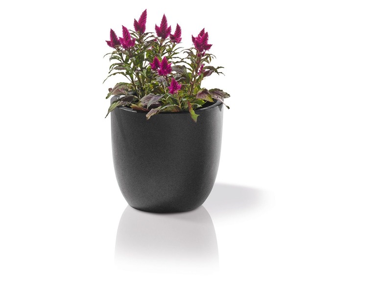 Ga naar volledige schermweergave: florabest Set plantenpotten - afbeelding 16