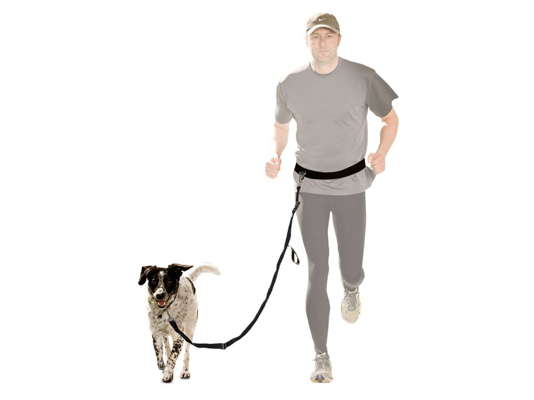 Aller en mode plein écran zoofari® Laisse de jogging, laisse longe ou laisse de vélo, pour chien jusqu’à 35 kg - Photo 3