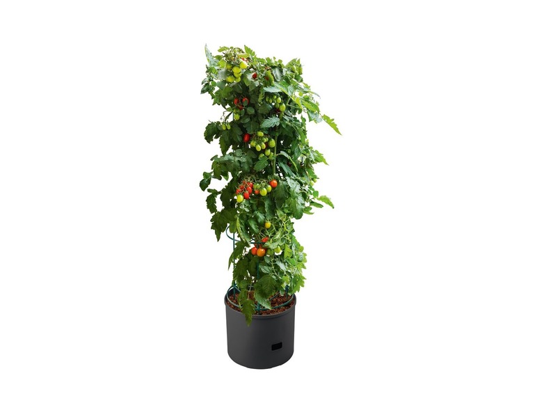 Ga naar volledige schermweergave: PARKSIDE® Plantenbak voor tomaten - afbeelding 2