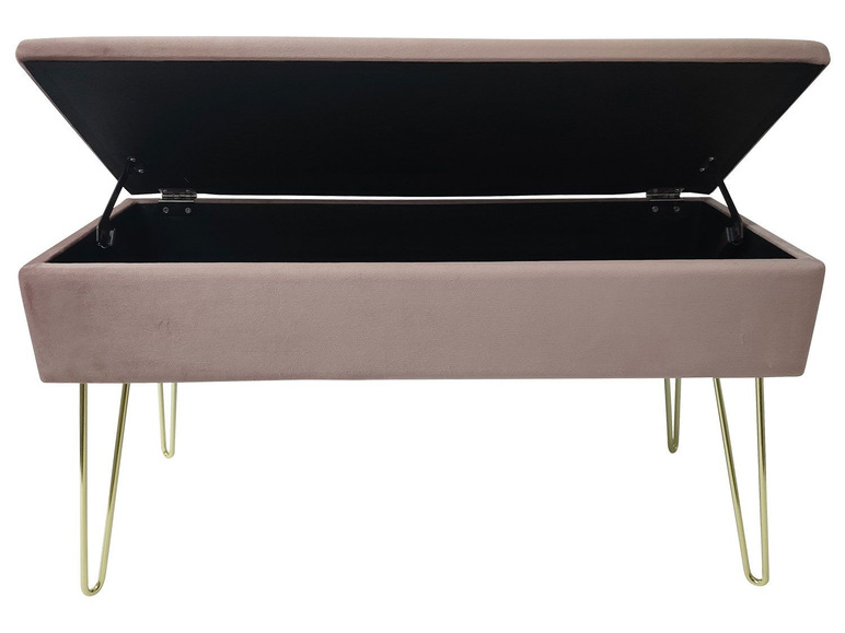 Aller en mode plein écran ECHTWERK Banc avec espace de rangement, 75 x 41,5 x 30 cm - Photo 19