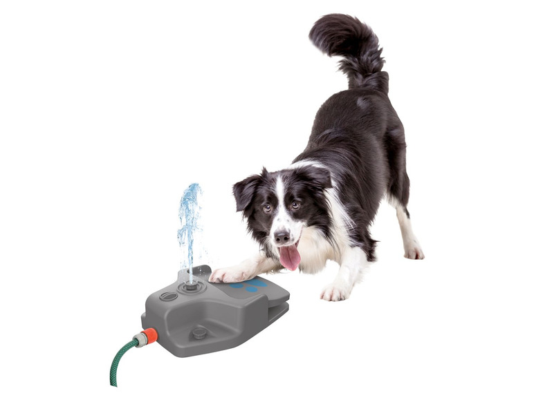 Ga naar volledige schermweergave: zoofari® Waterfontein voor honden, met 3 verwisselbare sproeiers - afbeelding 4
