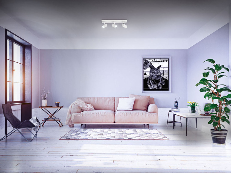 Ga naar volledige schermweergave: LIVARNO HOME Ledplafondlamp Smart Home - afbeelding 8