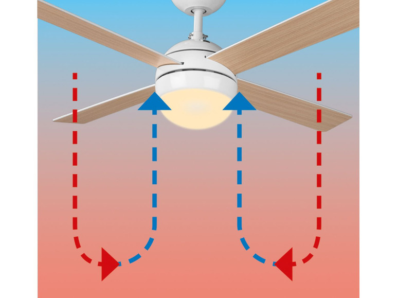 Aller en mode plein écran LIVARNO LUX Ventilateur de plafond, avec ampoule à LED - Photo 9