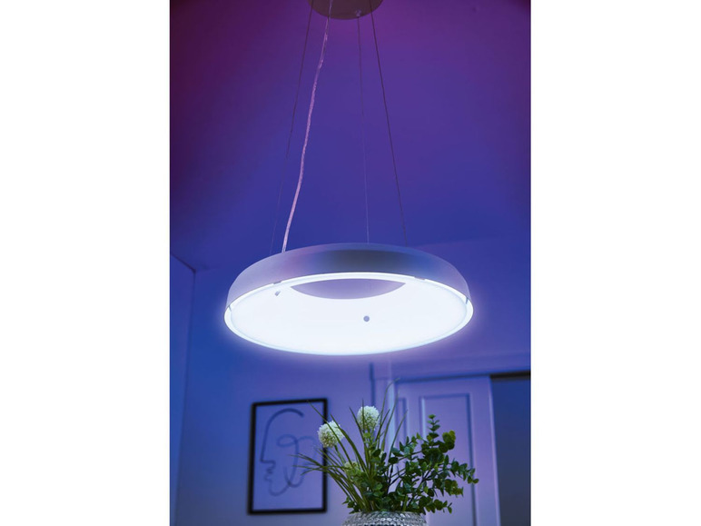 Ga naar volledige schermweergave: LIVARNO LUX Ledplafondlamp Smart Home - afbeelding 5