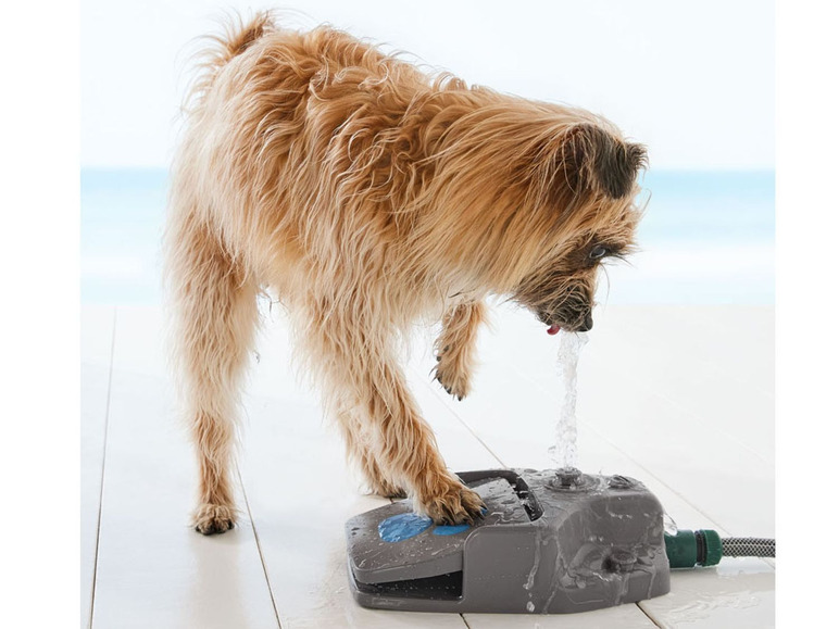 Aller en mode plein écran zoofari® Fontaine à eau pour chien - Photo 5