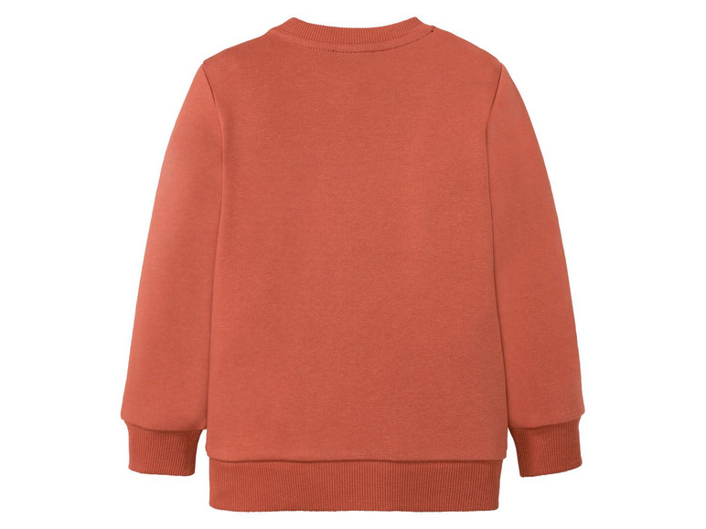 Ga naar volledige schermweergave: lupilu® Sweatshirt voor jongens, katoen en polyester - afbeelding 4