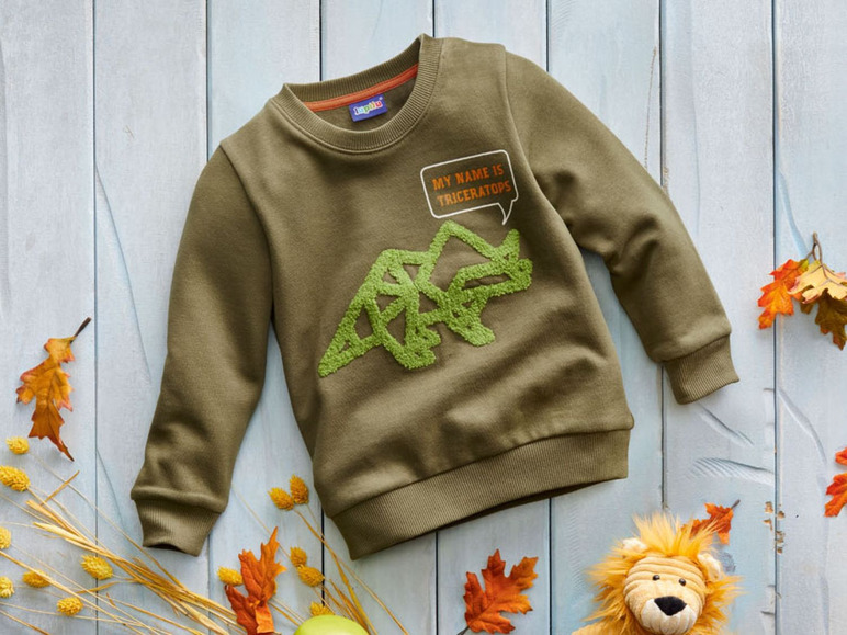 Ga naar volledige schermweergave: lupilu® Sweatshirt voor jongens, katoen en polyester - afbeelding 12