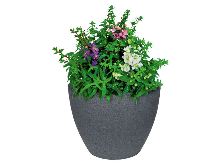 Aller en mode plein écran PARKSIDE® Pot de fleurs avec conception robuste - Photo 5