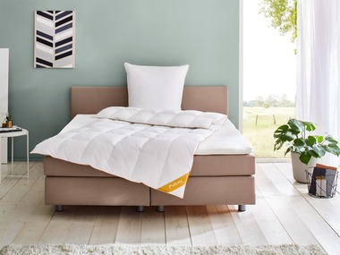 Balette Couette en duvet d'oie Gold Edition