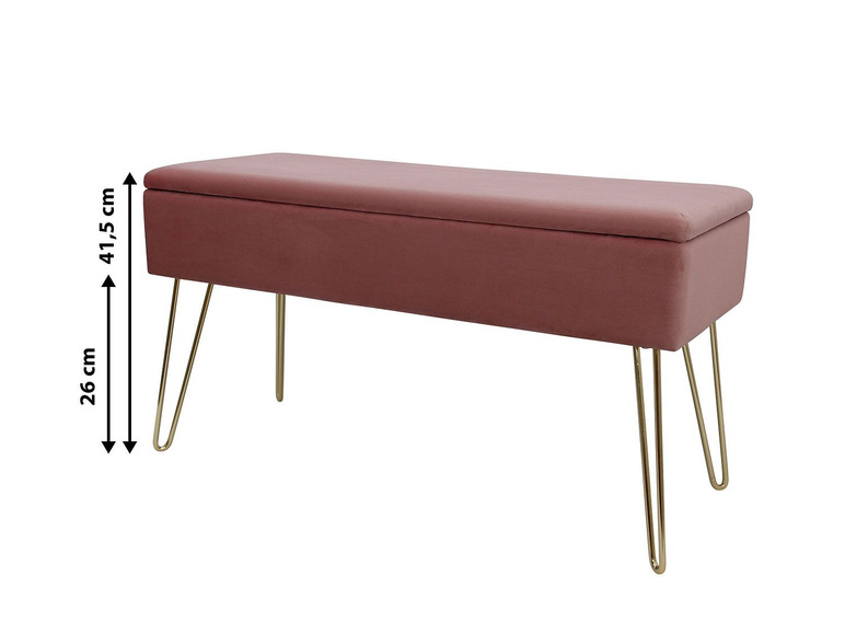 Aller en mode plein écran ECHTWERK Banc avec espace de rangement, 75 x 41,5 x 30 cm - Photo 20