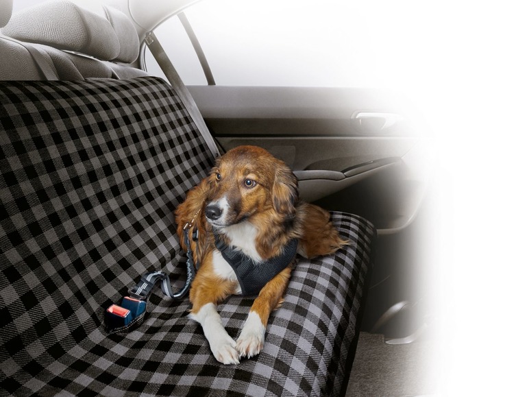Aller en mode plein écran zoofari® Couverture de voiture pour chiens, 115 x 145 cm - Photo 4