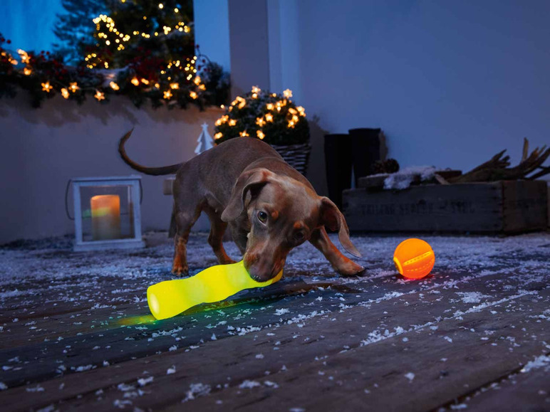 Aller en mode plein écran zoofari® Accessoires LED pour chiens - Photo 2