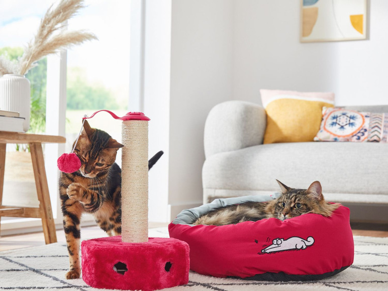 Aller en mode plein écran zoofari® Arbre à chat, en sisal et en peluche - Photo 5