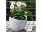 Dahlia's in een grijs-witte bloempot op een houten terras.
