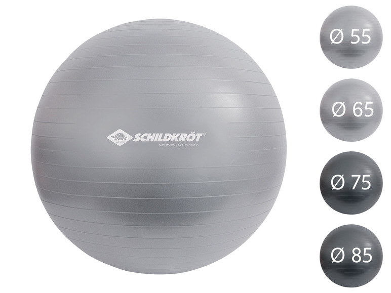 Aller en mode plein écran Schildkröt Ballon de gym pour les personnes mesurant entre 160 et 185 cm - Photo 1