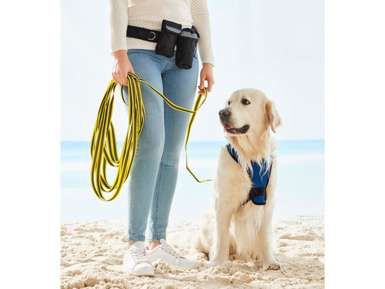 Ga naar volledige schermweergave: zoofari® Jogginglijn, sleeplijn of fietslijn voor honden, voor honden tot 35 kg - afbeelding 8