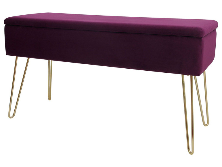 Aller en mode plein écran ECHTWERK Banc avec espace de rangement, 75 x 41,5 x 30 cm - Photo 3