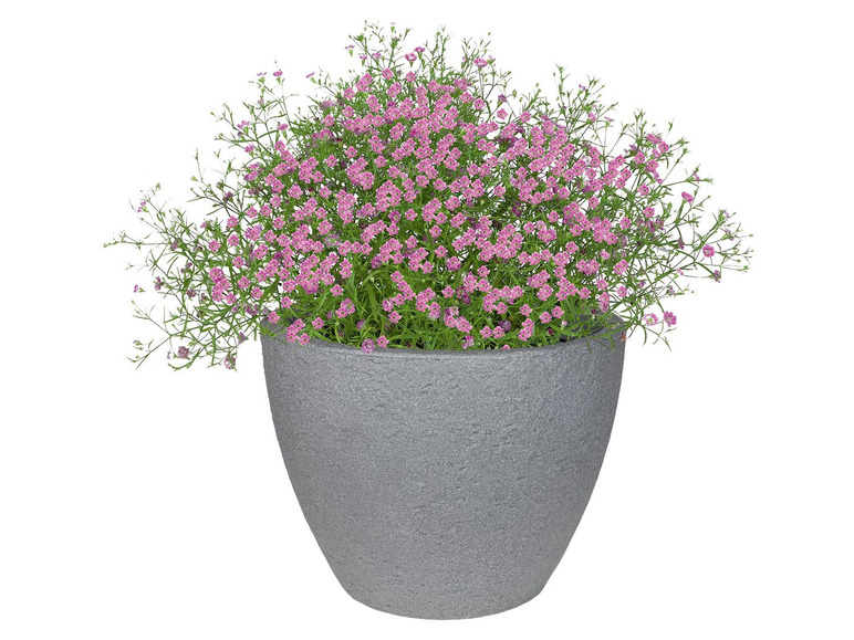 Aller en mode plein écran PARKSIDE® Pot de fleurs avec conception robuste - Photo 3