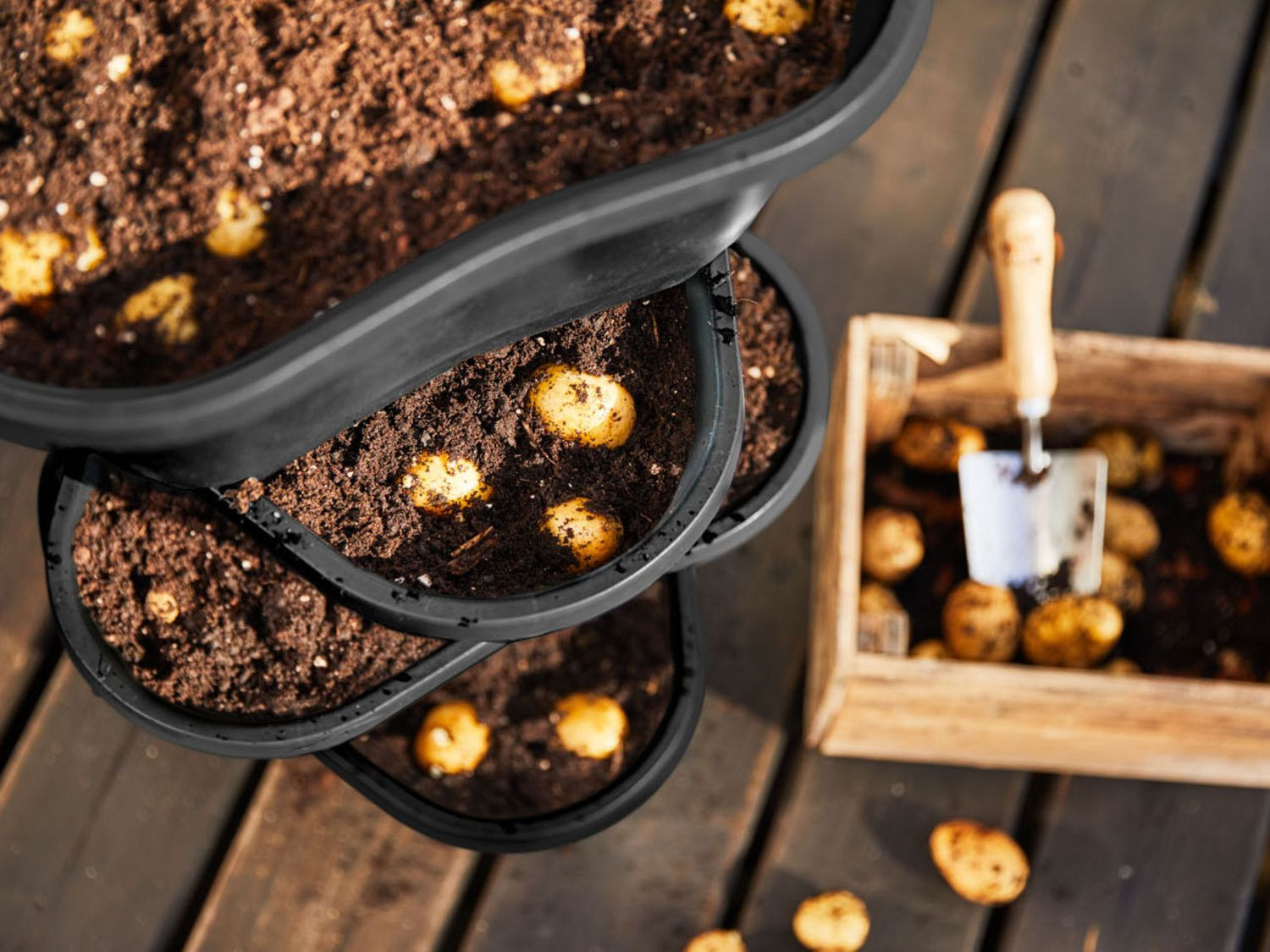 PARKSIDE® Tour de pommes de terre | Lidl.be