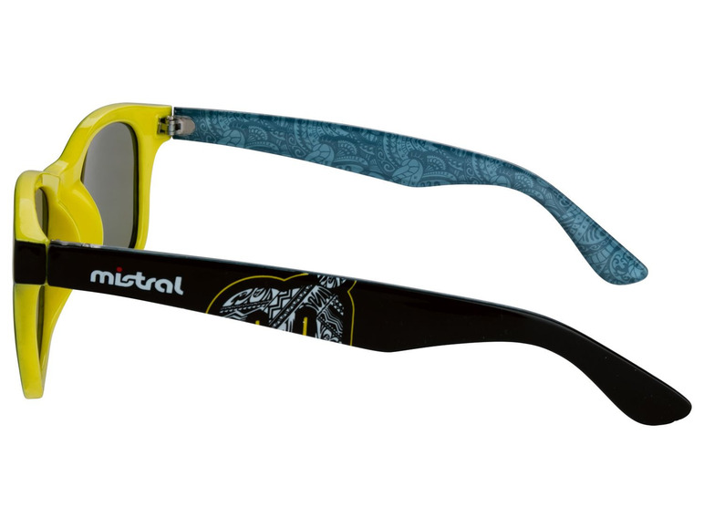 Ga naar volledige schermweergave: Mistral Zonnebril voor volwassenen, kunststof - afbeelding 16