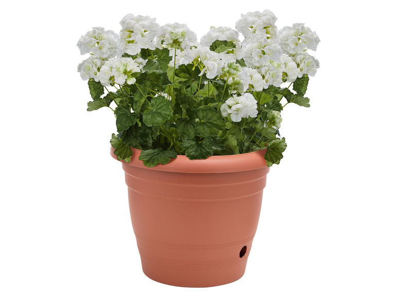 Ga naar volledige schermweergave: PARKSIDE® Bloempot met waterbevoorrading - afbeelding 3