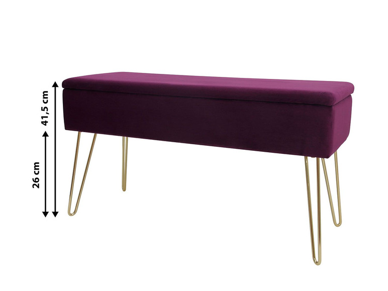 Aller en mode plein écran ECHTWERK Banc avec espace de rangement, 75 x 41,5 x 30 cm - Photo 6