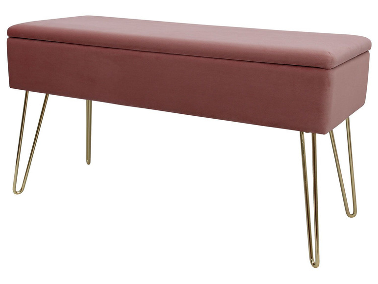 Aller en mode plein écran ECHTWERK Banc avec espace de rangement, 75 x 41,5 x 30 cm - Photo 17