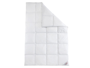 Sannwald Couette en duvet Dream