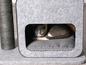 Een kattenhuis van grijs vilt met een kat erin