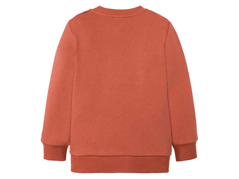 Ga naar volledige schermweergave: lupilu Sweatshirt voor jongens, katoen en polyester - afbeelding 15